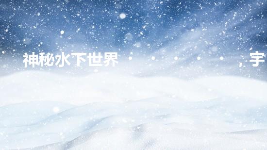 神秘水下世界，宇鶴智能清洗機(jī)器人揭開面紗！